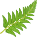 开云体育下载